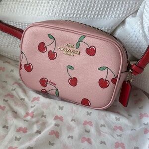 Coach Cherry Bag
